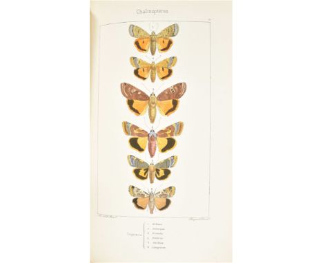 Paris, F. Savy, 1864. 2nd ed. (4),288 p. Complete w. 80 finely handcol. lithogr. plates of butterflies and 2 b/w lithogr. pla