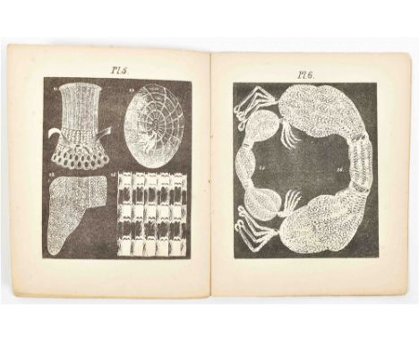 Voor alle standen en ten dienste van min- en meergevorderden. Door E.M. Stoll. Eerste stukje. Met veele afbeeldingen. Amst., 