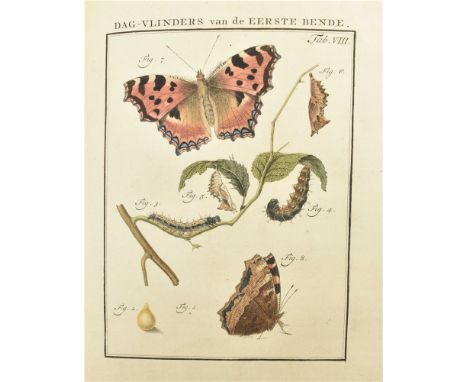 Of Nederlandsche Insecten, naar hunne aanmerkelyke Huishouding, verwonderlyke Gedaantewisseling en andere wetenswaardige Byzo