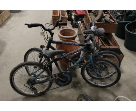 Two child's mountain bikes by Raleigh, comprising a Mustang and a Big Shot 