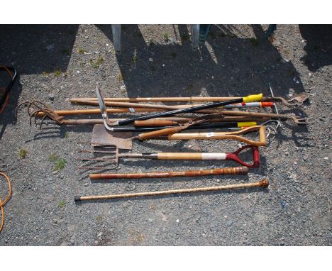 A quantity of garden tools including Wolf rake, hoe, walking sticks etc.