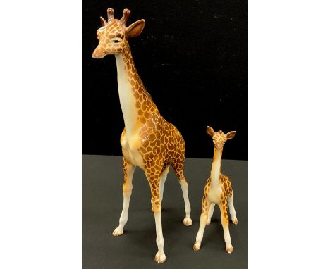 A Beswick model Giraffe cow, no1631 designed by J Lawson, and Calf, 853 printed marks (2). 