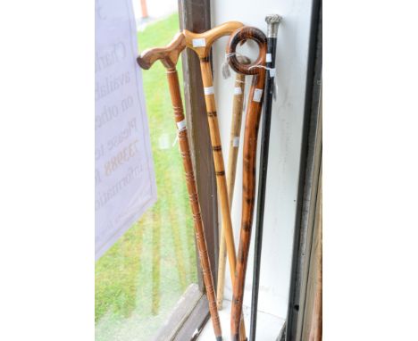 A collection of walking sticks, comprising silver topped ebonised stick, one in elm, another in ash, a beech walking stick,an