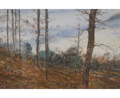 M-SCHOFIELDTennessee WinterA watercolourSigned lower right55cms x 72cms