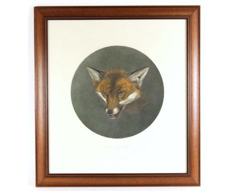 ‘Sly Boots’, a portrait of a fox,Mezzotint on paper,Published 1846 by William Spooner (British, 1796-1882),The plate 43.5cm x