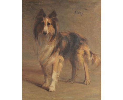 Kate Edmunds (nee Hammond) (British, early 20th century),‘Ebby’, portrait of a collie,Oil on canvas,Intialled ‘KGH’ lower lef