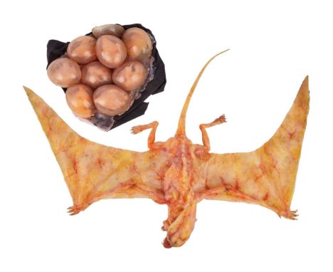 An original Vesp creature and egg props as seen used in the Netflix original film The Silence (Constantin Film, 2019). The Ve