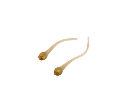 A pair of sperm props as seen in the opening credits of the film&nbsp;Look Who's Talking (Tri-Star Pictures, 1989). The&nbsp;