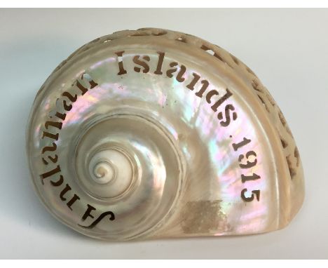 An early 20th century Colonial folk art pearl conch shell, pierced with scrolls and inscription Andaman Islands 1915, 16.5cm 