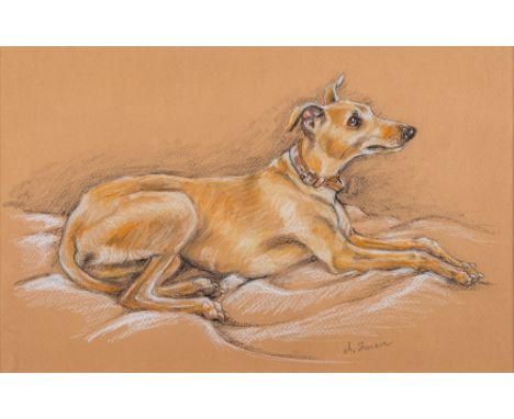 Ania Shreeve (British contemporary school)Portrait of a recumbent whippetsigned lower rightpastel on paper21.5 x 34cm; togeth