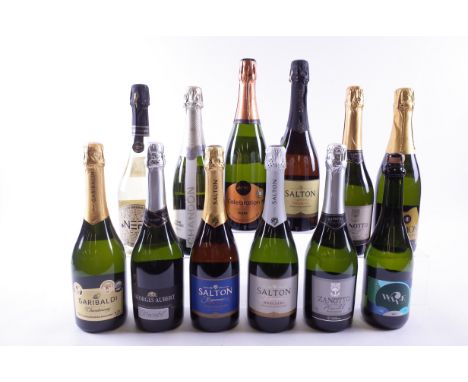 12 BOTTLES BRAZILIAN SPARKING WINEGaribaldi Chardonnay Brut; Georges Aubert Moscatel; Salton Brut, Moscatel and Prosecco; Zan