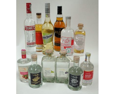 A COLLECTION OF SPIRITS INCLUDING A BOTTLE OF AVOSH AUSTRALIAN HONEY VODKA (12)Together with Malinovice Raspberry Brandy, Aeb