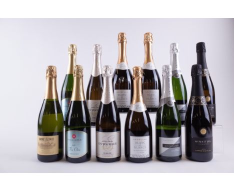 10 BOTTLES CANADIAN AND 2 HUNGARIAN SPARKLING WINERavine Vineyard Brut 2011; Noble Ridge Vineyard + Winery 2 x The One Brut 2