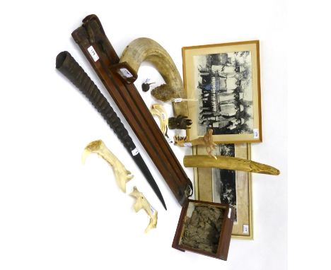 Saguna Camp 1938: A Collection of Photographs and Accessories, relating to hunting in this period, briefly comprising photogr