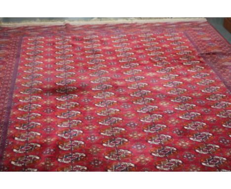An Afghan Bokhara design carpet, the claret field with six bands of elephant foot medallions, within geometric borders, 11ft 