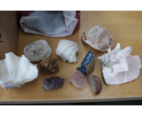 A mixed lot of conch shells, crystals including rose quartz and amethyst and other sea shells