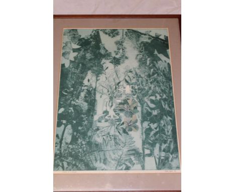 A coloured artist's proof etching "Growing in my Garden" signed by Peter Lyon and dated '81 