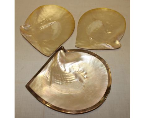 An unusual mother of pearl shell with silver mounted rim, Birmingham marks 1910, 8" long together with a pair of similar moth