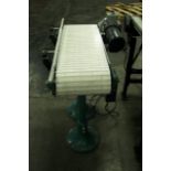 Bilt-Rite Mattop Transfer Conveyor 36 In L x 12" W  - RIGGING AND HANDLING FEES: $90