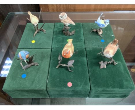 6 miniature boxed Albany Fine China bronze and porcelain model birds.