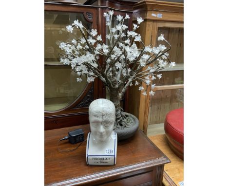 A large LED model tree together with a Phrenology ceramic head.