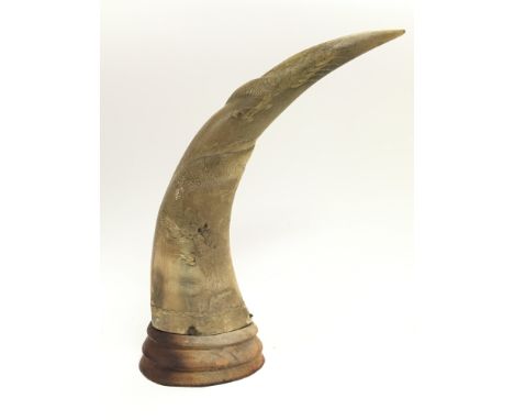 An animal horn with a carved scrimshaw dragon design mounted on a wooden base. 28.5cm tall. Postage category C