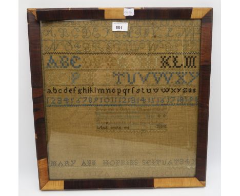 A framed 19th century needlework sampler by Mary Ann Hopkins, date indistinct Condition Report:Available upon request