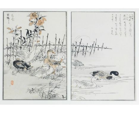 After Kono Bairei (Japanese 1844-1895), ducks and goose at a river bank, wood block print, with script and artist's seal, 21c