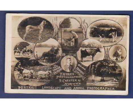 Norfolk - Norwich T. Noakes. 9 Chester St  Landscape and Animal photographer Multiview - 1911 R/P