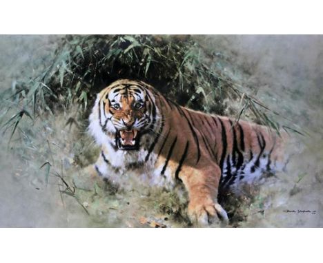 David Shepherd, O.B.E. (British, b. 1931):
'Tiger Fire', limited edition colour print, hand signed in pencil & numbered /850,