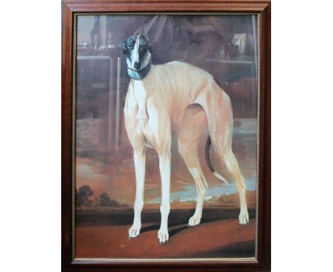 A large framed and glazed lithographic print of a racing greyhound, ' Hamlet' 84 x 62cm