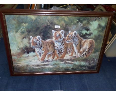 A large framed Print of three Tiger cubs by Silvia Duran, (small crack to glass), 33" x 22 3/4".