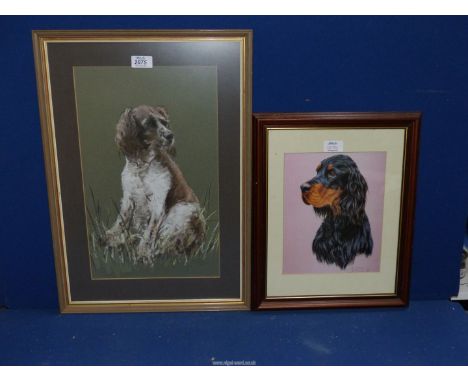 A framed and mounted Charcoal drawing of a Spaniel sitting in the grass, signed lower right Woodward, 15 1/2" x 22 1/4", alon