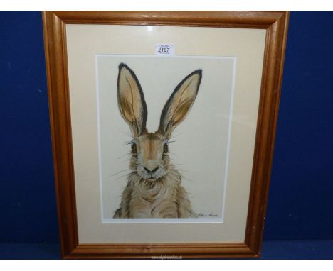 A wooden framed and mounted Print of a hare, signed lower right Kathryn Harvey, 19 1/4'' x 23 1/4''.