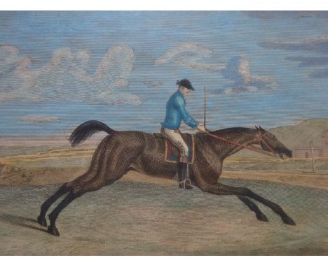 Pferde.- The Portraiture of Mr. Meredith's Bay Horse Bandy. Altkolor. Kupferstich von H. Roberts nach J. Roberts aus T. Butle