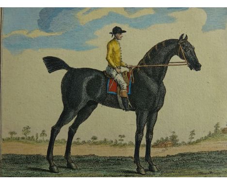 Pferde.- The Portraiture of Basto, the Property of His Grace the Duke of Devonshire. Altkolor. Kupferstich von Seymour aus T.