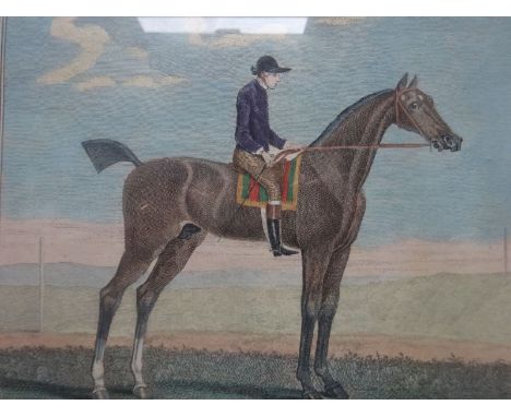 Pferde.- The Portraiture of Young Cartouche, ye Property of the Rt. Honble. the Earl of Portmore. Altkolor. Kupferstich von S