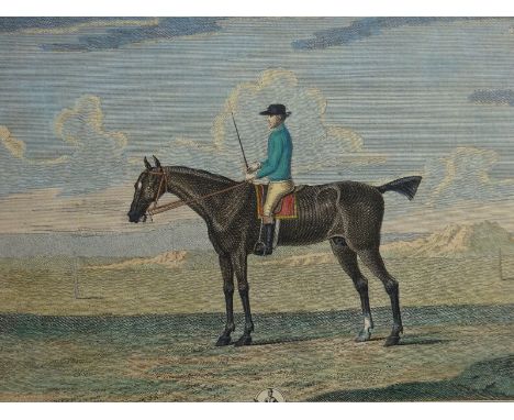 Pferde.- The Portraiture of Little Driver the Property of Mr. Josiah Marshall of Newmarket. Altkolor. Kupferstich von H. Robe