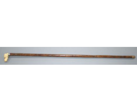 A walking stick, the ivory handle carved as a dog's head with glass eyes, silver collar, London 1918, overall length 84cm