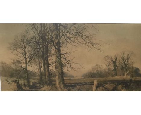 Print after David Shepherd, framed, total size 67 x 117cm