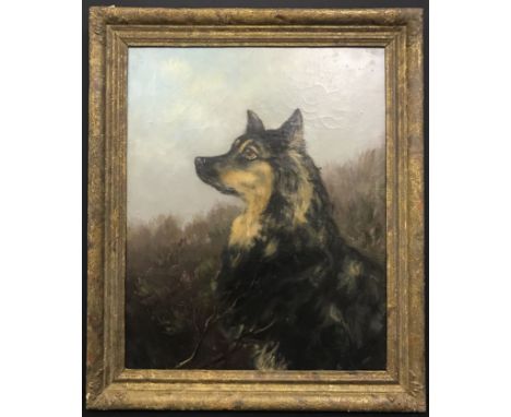 Follower of George Armfield 1808-1893. Oil on Canvas. “Portrait of a Terrier”. Measures 41cm x 51cm. Condition Report – Origi