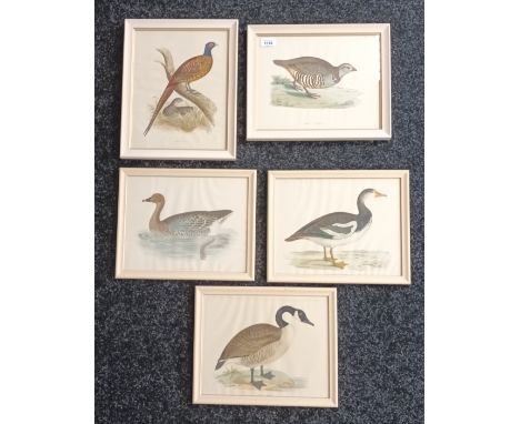 A lot of five coloured prints depicting Geese, Partridge and Pheasant. [29x36cm] 