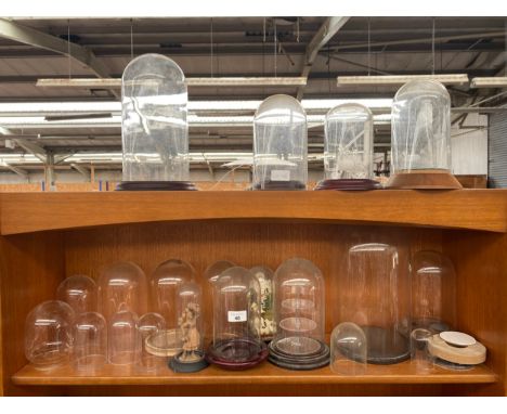 Shelf of plastic and glass protective domes