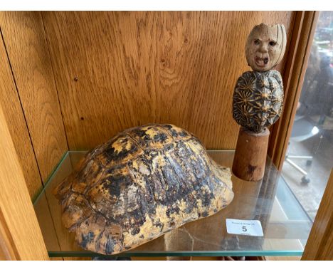 Tortoise shell together with item of interest- Tribal Voodoo style doll 