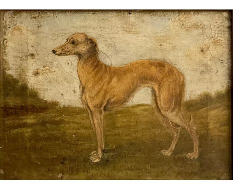 English School (19th century) Portrait of a Greyhoundoil on canvas, 23.5cm x 31cm 