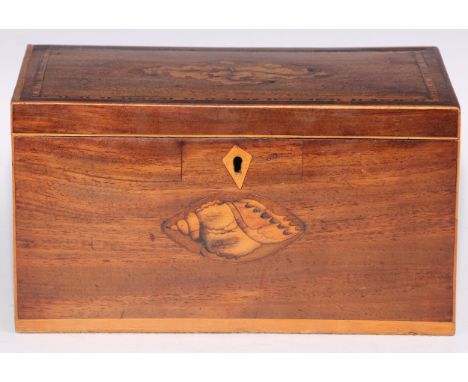 A George III mahogany and marquetry rectangular tea caddy, inlaid with fruiting oak and shell patera, hinged cover enclosing 