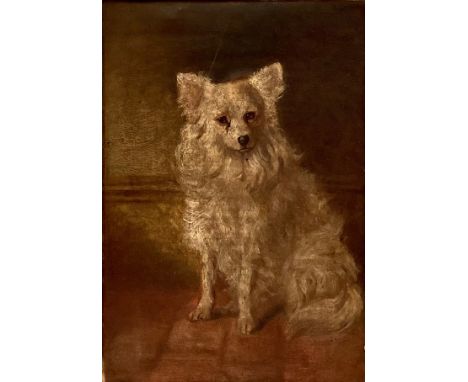 English School (19th century)Portrait of a Dogoil on canvas, 24cm x 16cm 
