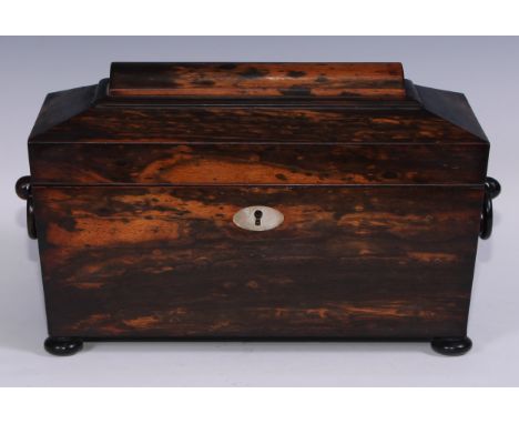 A 19th century calamander or coromandel sarcophagus tea caddy, hinged cover enclosing a pair of covered removable canisters a