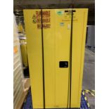 Uline Flammable Storage Cabinet
