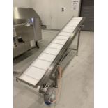 Sander Incline Conveyor